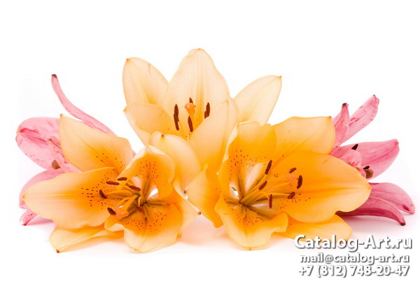 Yellow lilies 2